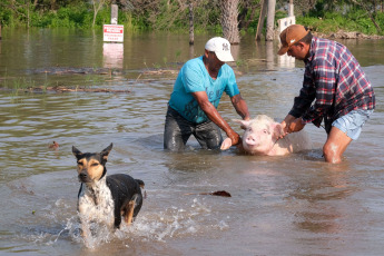 Corrientes, Argentina.- In the photos taken on November 8, 2023, Corrientes registers more than a thousand evacuees and a large number of self-evacuated families in riverside towns due to the rising of the Paraná and Uruguay rivers, reported the Defense Directorate of Civil Defense of the province, although they announced that the start of the downspout is expected, which would begin in 48 or 72 hours. The head of Civil Defense Operations, Orlando Bertoni, confirmed that those affected would exceed 1,200 people, including evacuees and self-evacuees.