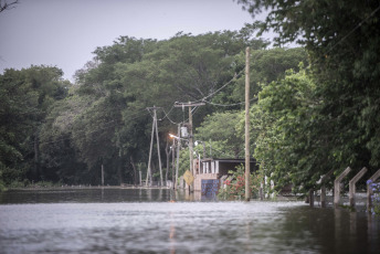 Chaco, Argentina.- En las fotos tomadas el 10 de noviembre del 2023, la crecida en el Río Paraná, afecta las zonas ribereñas de la provincia. Las crecidas en los ríos y las inundaciones de los últimos días son un producto del fenómeno natural El Niño. “Lo principal en cuanto a las inundaciones tienen que ver con el exceso de lluvias, que está claramente asociado a El Niño en el noreste argentino y sur de Brasil,” afirmó Alpio Costa, meteorólogo e investigador en el Instituto Antártico Argentino.