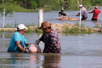 Corrientes, Argentina.- In the photos taken on November 8, 2023, Corrientes registers more than a thousand evacuees and a large number of self-evacuated families in riverside towns due to the rising of the Paraná and Uruguay rivers, reported the Defense Directorate of Civil Defense of the province, although they announced that the start of the downspout is expected, which would begin in 48 or 72 hours. The head of Civil Defense Operations, Orlando Bertoni, confirmed that those affected would exceed 1,200 people, including evacuees and self-evacuees.