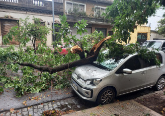 Buenos Aires, Argentina.- In the photos taken on December 19, 2023, the Government of the city of Buenos Aires maintains an operation to address the more than 5,000 reports of fallen or about to fall trees, cut or hanging cables, broken signs and Other consequences of the storm that affected the region of the Buenos Aires Metropolitan Area (AMBA), were officially reported. The Government of the province of Buenos Aires declared this Monday a state of emergency and mourning for the next 72 hours in its territory due to the storm suffered this weekend that left at least 14 dead and numerous damages.