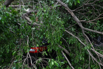 Buenos Aires, Argentina.- En las fotos tomadas el 20 de diciembre del 2023, personal del gobierno de la Ciudad de Buenos Aires continúan con los trabajos para despejar las calles de árboles, ramas y cables caídos provocados por el temporal. El Gobierno de la Ciudad, mediante un Decreto, creó un Régimen Especial de Subsidios para los damnificados por la “catástrofe meteorológica extraordinaria” del domingo 17 de diciembre para atender y paliar los daños ocasionados por los fuertes vientos que hayan sufrido tanto bienes inmuebles como automotores radicados en la Ciudad.