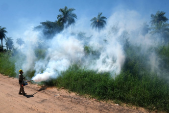 Corrientes, Argentina.- In the photos taken on December 29, 2023, authorities participate in the fumigation against the Aedes aegypty mosquito that transmits the dengue disease in Corrientes, Argentina. A dengue outbreak is recorded in the capital of Corrientes and in some towns in the interior of the province, with between 80 and 100 cases per week, and authorities from the Ministry of Health ratified the state of alert and urged citizens to take extreme prevention measures.