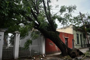 Buenos Aires, Argentina.- In the photos taken on December 19, 2023, the Government of the city of Buenos Aires maintains an operation to address the more than 5,000 reports of fallen or about to fall trees, cut or hanging cables, broken signs and Other consequences of the storm that affected the region of the Buenos Aires Metropolitan Area (AMBA), were officially reported. The Government of the province of Buenos Aires declared this Monday a state of emergency and mourning for the next 72 hours in its territory due to the storm suffered this weekend that left at least 14 dead and numerous damages.