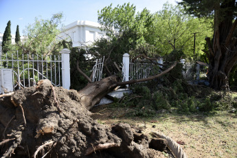 Bahía Blanca: En la foto tomada el 17 de diciembre de 2023, los destrozos que provocó el temporal. La fuerte tormenta, con lluvia y vientos que alcanzaron más de 140km/h, dejó como saldo hasta el momento 13 victimas fatales y al menos 14 personas heridas de gravedad. Varios techos se volaron y hubo caída de árboles.