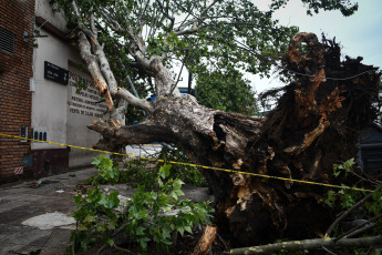 Buenos Aires, Argentina.- In the photos taken on December 19, 2023, the Government of the city of Buenos Aires maintains an operation to address the more than 5,000 reports of fallen or about to fall trees, cut or hanging cables, broken signs and Other consequences of the storm that affected the region of the Buenos Aires Metropolitan Area (AMBA), were officially reported. The Government of the province of Buenos Aires declared this Monday a state of emergency and mourning for the next 72 hours in its territory due to the storm suffered this weekend that left at least 14 dead and numerous damages.