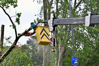 Buenos Aires, Argentina.- In the photos taken on December 19, 2023, the Government of the city of Buenos Aires maintains an operation to address the more than 5,000 reports of fallen or about to fall trees, cut or hanging cables, broken signs and Other consequences of the storm that affected the region of the Buenos Aires Metropolitan Area (AMBA), were officially reported. The Government of the province of Buenos Aires declared this Monday a state of emergency and mourning for the next 72 hours in its territory due to the storm suffered this weekend that left at least 14 dead and numerous damages.