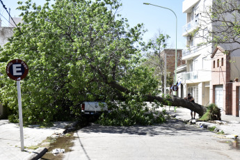 Bahía Blanca: En la foto tomada el 17 de diciembre de 2023, los destrozos que provocó el temporal. La fuerte tormenta, con lluvia y vientos que alcanzaron más de 140km/h, dejó como saldo hasta el momento 13 victimas fatales y al menos 14 personas heridas de gravedad. Varios techos se volaron y hubo caída de árboles.