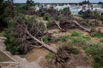 Bahía Blanca, Argentina.- En las fotos tomadas el 19 de diciembre del 2023, muestra los destrozos que aún quedan en las calles de Bahía Blanca tras el temporal que azotó la ciudad el fin de semana. El Servicio de Energía, EDES informó que logró restablecer el servicio al 55