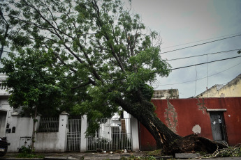 Buenos Aires, Argentina.- In the photos taken on December 19, 2023, the Government of the city of Buenos Aires maintains an operation to address the more than 5,000 reports of fallen or about to fall trees, cut or hanging cables, broken signs and Other consequences of the storm that affected the region of the Buenos Aires Metropolitan Area (AMBA), were officially reported. The Government of the province of Buenos Aires declared this Monday a state of emergency and mourning for the next 72 hours in its territory due to the storm suffered this weekend that left at least 14 dead and numerous damages.