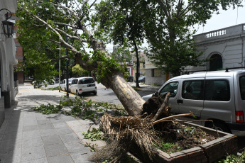 Buenos Aires, Argentina.- En las fotos tomadas el 20 de diciembre del 2023, personal del gobierno de la Ciudad de Buenos Aires continúan con los trabajos para despejar las calles de árboles, ramas y cables caídos provocados por el temporal. El Gobierno de la Ciudad, mediante un Decreto, creó un Régimen Especial de Subsidios para los damnificados por la “catástrofe meteorológica extraordinaria” del domingo 17 de diciembre para atender y paliar los daños ocasionados por los fuertes vientos que hayan sufrido tanto bienes inmuebles como automotores radicados en la Ciudad.