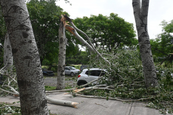 Buenos Aires, Argentina.- En las fotos tomadas el 20 de diciembre del 2023, personal del gobierno de la Ciudad de Buenos Aires continúan con los trabajos para despejar las calles de árboles, ramas y cables caídos provocados por el temporal. El Gobierno de la Ciudad, mediante un Decreto, creó un Régimen Especial de Subsidios para los damnificados por la “catástrofe meteorológica extraordinaria” del domingo 17 de diciembre para atender y paliar los daños ocasionados por los fuertes vientos que hayan sufrido tanto bienes inmuebles como automotores radicados en la Ciudad.