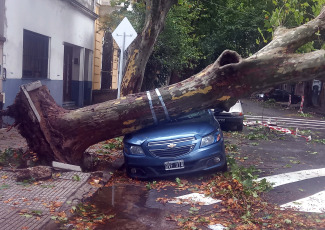 Buenos Aires, Argentina.- In the photos taken on December 19, 2023, the Government of the city of Buenos Aires maintains an operation to address the more than 5,000 reports of fallen or about to fall trees, cut or hanging cables, broken signs and Other consequences of the storm that affected the region of the Buenos Aires Metropolitan Area (AMBA), were officially reported. The Government of the province of Buenos Aires declared this Monday a state of emergency and mourning for the next 72 hours in its territory due to the storm suffered this weekend that left at least 14 dead and numerous damages.