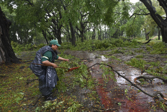 Buenos Aires, Argentina.- In the photos taken on December 19, 2023, the Government of the city of Buenos Aires maintains an operation to address the more than 5,000 reports of fallen or about to fall trees, cut or hanging cables, broken signs and Other consequences of the storm that affected the region of the Buenos Aires Metropolitan Area (AMBA), were officially reported. The Government of the province of Buenos Aires declared this Monday a state of emergency and mourning for the next 72 hours in its territory due to the storm suffered this weekend that left at least 14 dead and numerous damages.