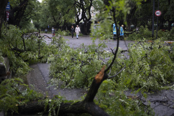 Buenos Aires, Argentina.- In the photos taken on December 19, 2023, the Government of the city of Buenos Aires maintains an operation to address the more than 5,000 reports of fallen or about to fall trees, cut or hanging cables, broken signs and Other consequences of the storm that affected the region of the Buenos Aires Metropolitan Area (AMBA), were officially reported. The Government of the province of Buenos Aires declared this Monday a state of emergency and mourning for the next 72 hours in its territory due to the storm suffered this weekend that left at least 14 dead and numerous damages.