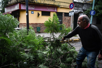 Buenos Aires, Argentina.- In the photos taken on December 19, 2023, the Government of the city of Buenos Aires maintains an operation to address the more than 5,000 reports of fallen or about to fall trees, cut or hanging cables, broken signs and Other consequences of the storm that affected the region of the Buenos Aires Metropolitan Area (AMBA), were officially reported. The Government of the province of Buenos Aires declared this Monday a state of emergency and mourning for the next 72 hours in its territory due to the storm suffered this weekend that left at least 14 dead and numerous damages.