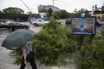 Buenos Aires, Argentina.- In the photos taken on December 19, 2023, the Government of the city of Buenos Aires maintains an operation to address the more than 5,000 reports of fallen or about to fall trees, cut or hanging cables, broken signs and Other consequences of the storm that affected the region of the Buenos Aires Metropolitan Area (AMBA), were officially reported. The Government of the province of Buenos Aires declared this Monday a state of emergency and mourning for the next 72 hours in its territory due to the storm suffered this weekend that left at least 14 dead and numerous damages.