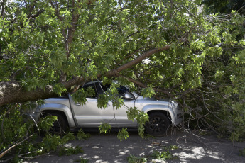 Bahía Blanca: In the photo taken on December 17, 2023, the damage caused by the storm. The heavy storm, with rain and winds reaching more than 140 km/h, left 13 fatalities and at least 14 people seriously injured. Several roofs were blown off and trees fell.