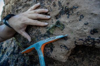 Mar del Plata, Argentina.- In the photos taken on December 13, 2023, paleontologist Matías Taglioretti, from Natural Sciences, investigates the place where a young man and his father found fossil remains belonging to a Toxodon in the ravines of the north of the city of Mar del Plata. The Toxodon is a native South American animal similar in appearance to hippopotamuses and could measure about 3.5 meters long and 1.60 meters high, reported the Natural Sciences Museum of this Buenos Aires city.