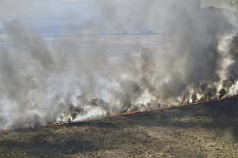 Chubut, Argentina.- The photos taken on December 12, 2023 show the forest fire that affected the rural area of Puerto Lobos in Chubut. According to the Secretary of Citizen Liaison of the Province, the fire was "controlled" while fire departments continued to work at the site as a preventive measure due to the change in wind.