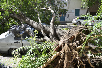 Bahía Blanca: En la foto tomada el 17 de diciembre de 2023, los destrozos que provocó el temporal. La fuerte tormenta, con lluvia y vientos que alcanzaron más de 140km/h, dejó como saldo hasta el momento 13 victimas fatales y al menos 14 personas heridas de gravedad. Varios techos se volaron y hubo caída de árboles.