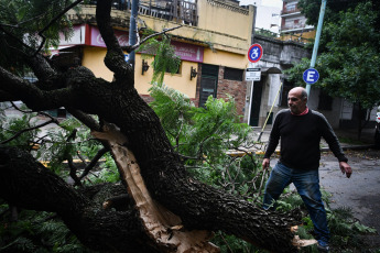 Buenos Aires, Argentina.- In the photos taken on December 19, 2023, the Government of the city of Buenos Aires maintains an operation to address the more than 5,000 reports of fallen or about to fall trees, cut or hanging cables, broken signs and Other consequences of the storm that affected the region of the Buenos Aires Metropolitan Area (AMBA), were officially reported. The Government of the province of Buenos Aires declared this Monday a state of emergency and mourning for the next 72 hours in its territory due to the storm suffered this weekend that left at least 14 dead and numerous damages.