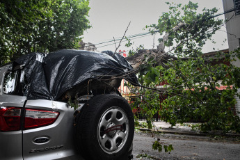 Buenos Aires, Argentina.- In the photos taken on December 19, 2023, the Government of the city of Buenos Aires maintains an operation to address the more than 5,000 reports of fallen or about to fall trees, cut or hanging cables, broken signs and Other consequences of the storm that affected the region of the Buenos Aires Metropolitan Area (AMBA), were officially reported. The Government of the province of Buenos Aires declared this Monday a state of emergency and mourning for the next 72 hours in its territory due to the storm suffered this weekend that left at least 14 dead and numerous damages.