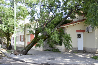 Bahía Blanca: En la foto tomada el 17 de diciembre de 2023, los destrozos que provocó el temporal. La fuerte tormenta, con lluvia y vientos que alcanzaron más de 140km/h, dejó como saldo hasta el momento 13 victimas fatales y al menos 14 personas heridas de gravedad. Varios techos se volaron y hubo caída de árboles.