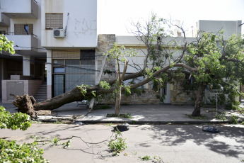 Bahía Blanca: In the photo taken on December 17, 2023, the damage caused by the storm. The heavy storm, with rain and winds reaching more than 140 km/h, left 13 fatalities and at least 14 people seriously injured. Several roofs were blown off and trees fell.