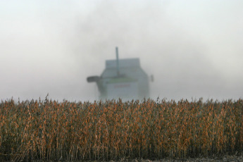 Buenos Aires.- In the photo taken on January 8, 2024, Argentine fields. According to an official statement of the Oil Industry Chamber of the Argentine Republic (CIARA) and the Center of Cereal Exporters (CEC), during 2023 were admitted a total of $ 19,742 million, almost half of 2022. In December, agroexporters earned $1,245 million, which implied an annual fall of 66%. Unlike the last three campaigns, will have this summer -hand in hand with the phenomenon of El Niño'- a rainy regime according to crops and without a strong heat wave that can affect the plantations, although the sector is concerned about the possibility of continuing violent weather events such as those that occurred in recent weeks, with strong gusts of wind and hail.