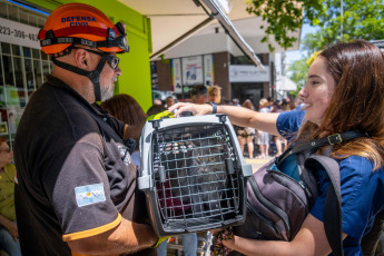 Mar del Plata, Argentina.- En las fotos tomadas el 22 de enero del 2024, tres dotaciones de bomberos controlaron un incendio que se inició en la cochera de un edificio de ocho pisos en la ciudad de Mar del Plata, que debió ser evacuado sin que se registraran heridos, informaron fuentes policiales y comunales. De acuerdo a las primeras informaciones, el incendio de desató en un auto que estaba en el interior de la cochera.