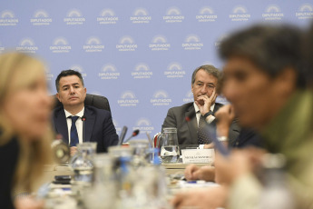 Buenos Aires, Argentina.- In the photos taken on January 16, 2024, the plenary session of committees of the Chamber of Deputies resumed the debate on the bill "Bases and Starting Points for the freedom of Argentines", with the presence of representatives from different sectors.