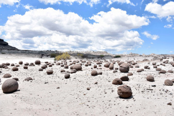 San Juan, Argentina.- In the photos taken on January 18, 2024, it shows the Ischigualasto Provincial Park, in the province of San Juan, called by the Diaguitas who passed through the place "Land where there is no life", which together forms to Talampaya National Park (La Rioja), the largest continental collection of fossils in the world, and a paradise for dinosaur enthusiasts.