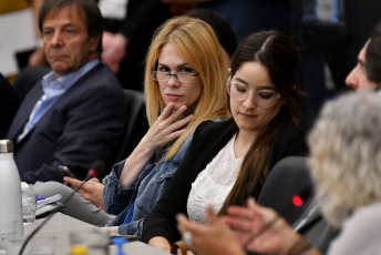 Buenos Aires, Argentina.- En las fotos tomadas el 15 de enero del 2024, el plenario de comisiones de la Cámara de Diputados que analiza el proyecto de ley ómnibus retomó su trabajo con la recepción de los testimonios de empresas, asociaciones, ONG's y sectores alcanzados por lo dispuesto en esa iniciativa.