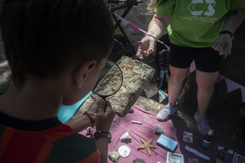 Buenos Aires, Argentina.- En las fotos tomadas el 21 de enero del 2024, las variadas actividades de ciencia, arte y tecnología se volvieron a reeditar por segunda vez, de forma gratuita, en el Parque Saavedra, como forma de reclamo de unos 60 estudiantes de universidades nacionales de carreras científicas, tecnológicas y de arte para pedir por la apertura de la programación de verano del Centro Cultural de la Ciencia (C3) que fue cancelado por las autoridades.