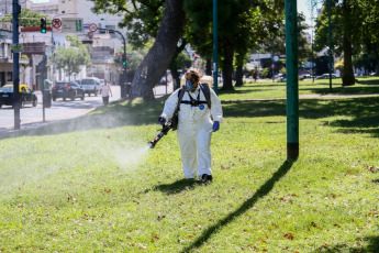 Buenos Aires, Argentina.- In the photos taken on January 3, 2024, the Ministry of Public Space and Urban Hygiene of Buenos Aires reinforced the disinfestation of 29 parks, squares and green spaces due to the proliferation of mosquitoes in the City. 2023 marked a record for reported cases of dengue in Argentina, with about 135,000 people infected and about 70 deaths from the disease transmitted by the Aedes aegypti mosquito, according to data from the Ministry of Health.