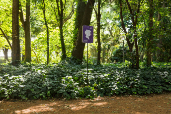 Buenos Aires, Argentina.- En las fotos tomadas el 18 de enero del 2024, muestra el Jardín Botánico de la Ciudad de Buenos Aires, que será escenario a partir del próximo sábado de la cuarta edición de "Jardín sonoro", una instalación performática que reúne dramaturgas, directoras y actrices para intervenir el espacio público y proponer un cruce entre el teatro, la literatura y las nuevas tecnologías, a partir de relatos orales que recorren la relación entre las personas y la naturaleza.