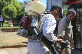 Misiones- In the photo taken on January 7, 2024, the Province of Misiones continues to reinforce preventive operations and elimination of mosquito breeding sites in all municipalities after an increase in cases of dengue, Police forces also joined in the work in more than 400 units, according to sources from the ministry and the security forces. More than 128,000 indigenous people have already been confirmed in the country.