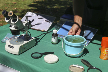 Misiones- En la foto tomada el 7 de enero de 2024, Misiones continúa reforzando los operativos preventivos y eliminación de criaderos de mosquitos en todos los municipios tras un aumento en los casos de dengue, por lo que a esta tarea también se sumaron las fuerzas policiales con los trabajos en más de las 400 dependencias, informaron fuentes del ministerio y de las fuerzas de seguridad. Ya se confirmaron más de 128 mil autóctonos en el país.