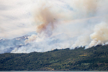 Rio Negro, Argentina.- In the photos taken on January 29, 2024, almost 100 brigade members are fighting the fire in Los Alerces National Park on the ground. The National Meteorological Service reported record temperatures of more than 40 degrees Celsius in the country. Declared a World Heritage Site by the United Nations Educational, Scientific and Cultural Organization, the affected site is crucial for the conservation of endemic or endangered species of flora and fauna.