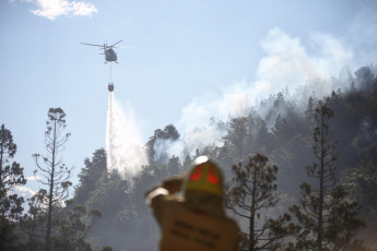 Patagonia, Argentina.- En las fotos tomadas el 30 de enero del 2024, muestra los incendios forestales que afectan el Parque Nacional Los Alerces, y que "tiene ya una extensión de más de dos mil hectáreas", informó el intendente Danilo Hernández Otaño. En el lugar, trabajan alrededor de 200 combatientes con herramientas manuales y líneas de agua para controlar el fuego, activo desde hace cinco días.