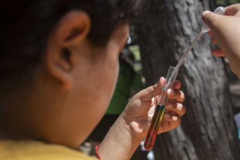 Buenos Aires, Argentina.- En las fotos tomadas el 21 de enero del 2024, las variadas actividades de ciencia, arte y tecnología se volvieron a reeditar por segunda vez, de forma gratuita, en el Parque Saavedra, como forma de reclamo de unos 60 estudiantes de universidades nacionales de carreras científicas, tecnológicas y de arte para pedir por la apertura de la programación de verano del Centro Cultural de la Ciencia (C3) que fue cancelado por las autoridades.