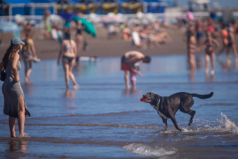 Mar del Plata.- En la foto tomada el 9 de enero de 2024, las playas de Mar del Plata. En el verano que celebrará su cumpleaños 150, la juventud se apropió de la ciudad con fiestas hasta el amanecer, jóvenes que llegan no solo de Capital Federal o del interior, también de países vecinos, y que consolidan un número sorprendente: el 44