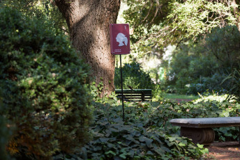 Buenos Aires, Argentina.- En las fotos tomadas el 18 de enero del 2024, muestra el Jardín Botánico de la Ciudad de Buenos Aires, que será escenario a partir del próximo sábado de la cuarta edición de "Jardín sonoro", una instalación performática que reúne dramaturgas, directoras y actrices para intervenir el espacio público y proponer un cruce entre el teatro, la literatura y las nuevas tecnologías, a partir de relatos orales que recorren la relación entre las personas y la naturaleza.