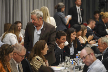 Buenos Aires, Argentina.- En las fotos tomadas el 17 de enero del 2024, el plenario de comisiones de la Cámara de Diputados realiza una nueva jornada de debate del proyecto de ley de "Bases y Puntos de Partida para la Libertad de los Argentinos", impulsado por el Poder Ejecutivo, en lo que será el sexto encuentro, luego de que ayer debatieron la norma organizaciones no gubernamentales, organismos de Derechos Humanos, entidades empresarias y sectores de la sociedad civil.