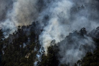 Chubut, Argentina.- The photos taken on February 7, 2024, show the forest fire in the Brazo Tristeza, in the Nahuel Huapi National Park. More than 50 brigade members and two helicopters continue working in the southern area of the Nahuel Huap National Park to contain the fire that broke out yesterday, but the area is affected by "a lot of wind", which constitutes "an unfavorable factor" and encourages behavior more extreme of the fire.