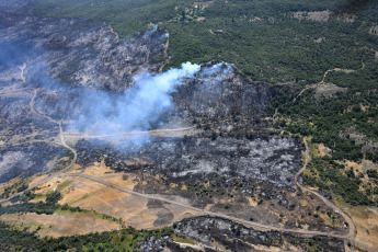 Chubut, Argentina.- In the photos taken on February 8, 2024, they show the forest fires that affect the Los Alerces National Park in Chubut. The fire affected approximately 6,715 hectares and, although alerts for strong winds are in effect in the area, the authorities in charge of the operation hope to be able to make progress in fighting the fire due to the rain and the drop in temperature.