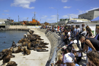 Mar del Plata, Argentina.- In the photos taken on February 13, 2024, visitors and tourists say goodbye to the long Carnival weekend in Mar del Plata. The long Carnival weekend registered one of the highest hotel occupancy rates of the season, with practically full capacity in traditional Carnival destinations -Jujuy, Entre Ríos and Corrientes- and levels above 90% for Mar del Plata and Villa Gesell, the two cities with the most accommodation places on the entire Buenos Aires coast.