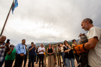 La Rioja, Argentina.- En las fotos tomadas el 21 de febrero del 2024, el Municipio de La Rioja liberó un águila coronada en conjunto con la Secretaría de Ambiente de la Provincia en el Mirador del Águila en el área Protegida del Cantadero. El ave, había sido incautada en una vivienda y carecía de la documentación legal según el convenio CITES -Convención sobre el Comercio Internacional de Especies Amenazadas de Fauna y Flora Silvestre-, por lo que se procedió a su intervención y posterior traslado al Centro de recuperación de Fauna Silvestre de La Rioja 'La Fombera' para su cuidado.