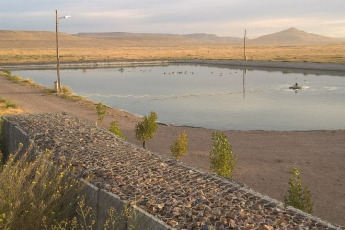 Rio Negro, Argentina.- En las fotos tomadas el 20 de febrero del 2024, el agua proveniente de la planta de tratamiento de efluentes cloacales de la localidad de Ingeniero Jacobacci (Río Negro) es reutilizada para el riego de árboles y cultivos, a través de una iniciativa de diferentes organismos y organizaciones locales y provinciales que permite el aprovechamiento de este bien común en el contexto de emergencia hídrica que atraviesa la región.