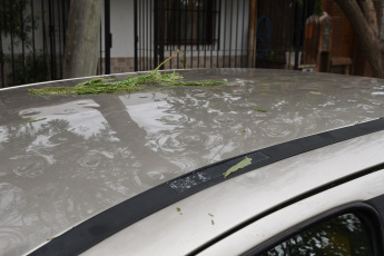 Mendoza, Argentina.- En las fotos tomadas el 29 de febrero del 2024, una tormenta de granizo generó la caída de árboles, calles anegadas, cortes del servicio eléctrico y algunas viviendas sufrieron daños en techos y 20 personas fueron asistidas por lesiones leves en diversas localidades de Mendoza, informaron fuentes oficiales.